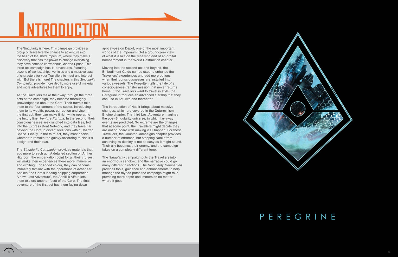 Singularity Companion