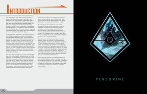 Singularity Companion